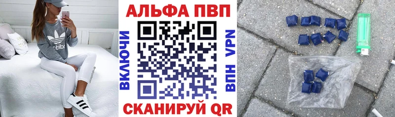 A PVP СК  Мосальск 