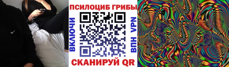 Галлюциногенные грибы Psilocybe  Мосальск 